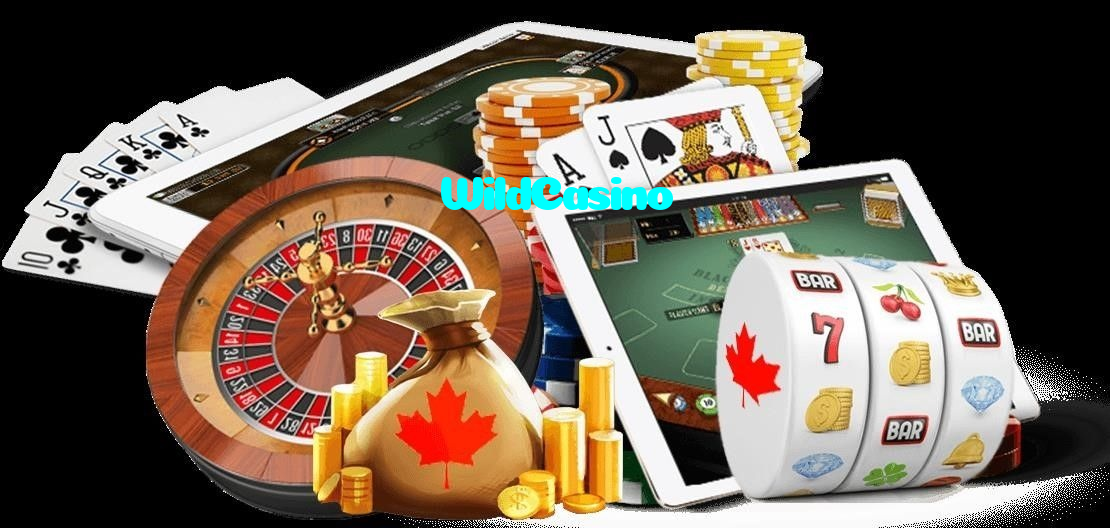 WildCasino casino presented on mobile device in Pakistan with slots and live games