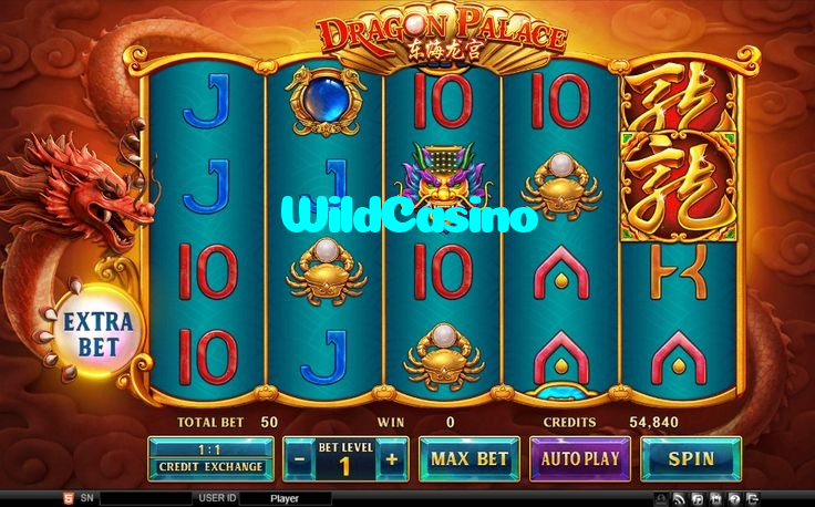 making first deposit on WildCasino website using local payment methods in Pakistan