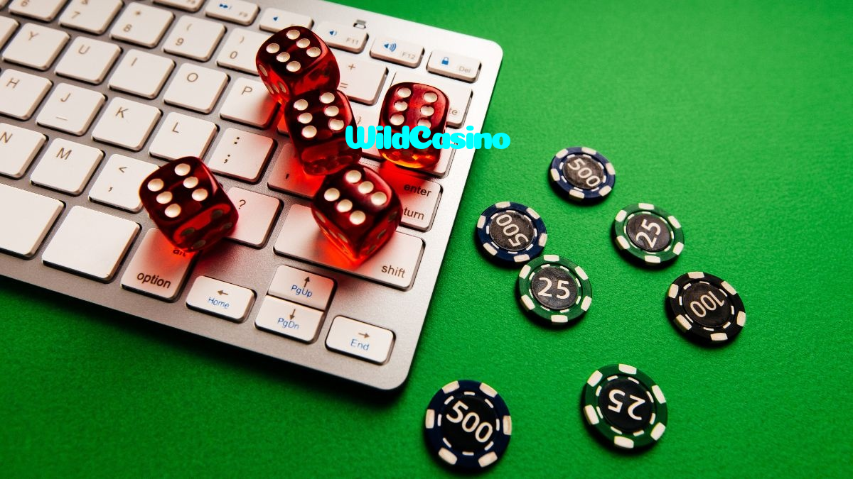 available types of WildCasino bet including pre-match live express and system bets